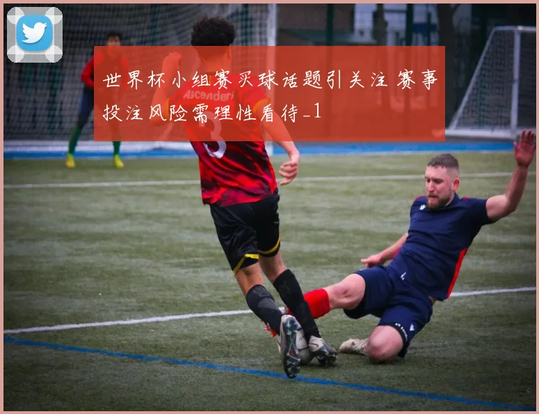 世界杯小组赛买球话题引关注 赛事投注风险需理性看待_1