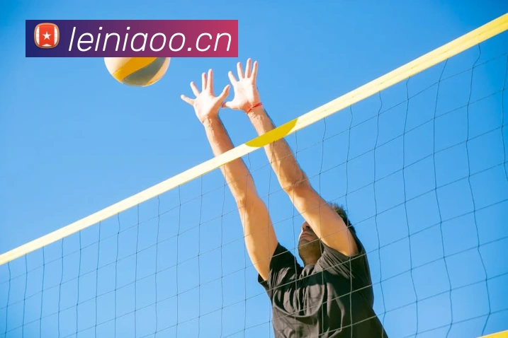 开云kaiyun网站发展历程